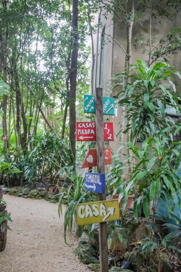 Guest House La Aldea Holistic Experience Канкун Экстерьер фото
